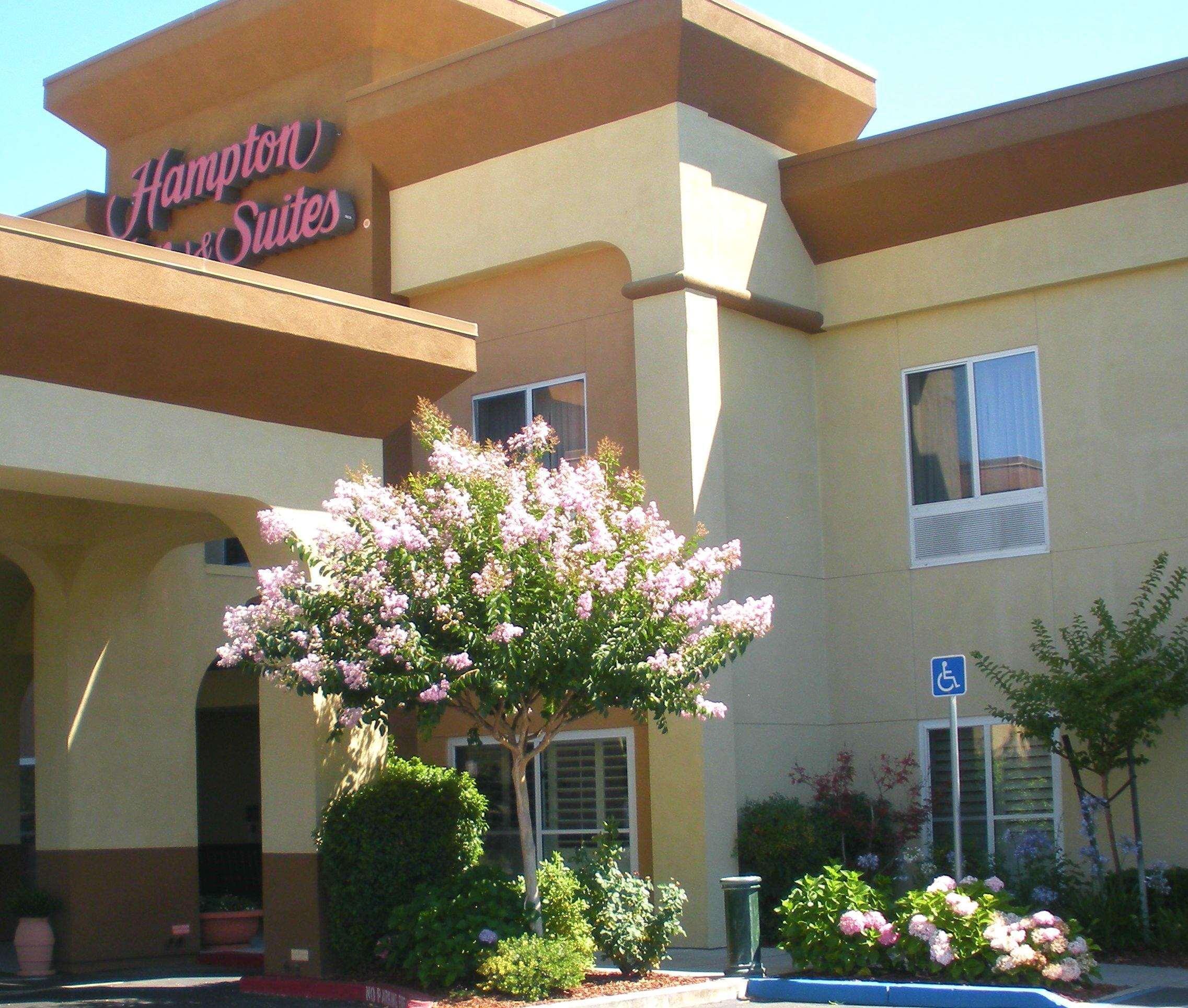 Hampton Inn & Suites Sacramento-Auburn Boulevard Extérieur photo